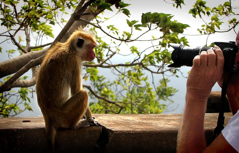 Paparazzi photographing celebrities